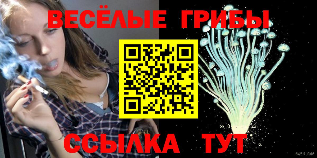 Галлюциногенные грибы ЛСД  Галлюциногенные грибы GOLDEN TEACHER  Новочеркасск  Вход с VPN 