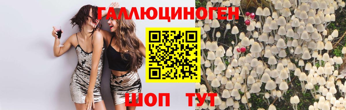 Псилоцибиновые грибы Magic Shrooms Новочеркасск